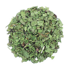 Cilantro Leaf