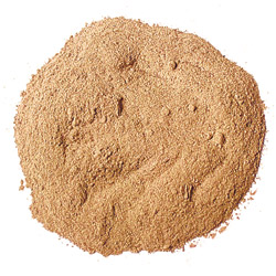Porcini Powder
