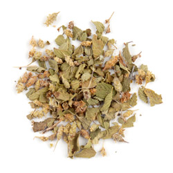 Oregano, Mexican