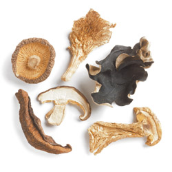 Forest Mushroom Blend