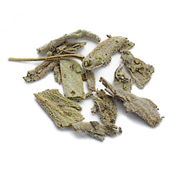 Sage Leaf, Rubbed