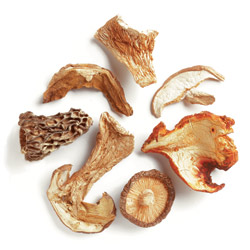 Northwoods Mushroom Blend