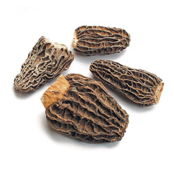 Morels, Dried Whole