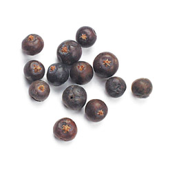 Juniper Berries