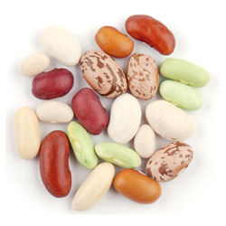 Grandma's Bean Blend