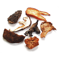 European Mushroom Blend