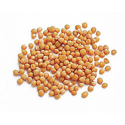 Mustard Seed,  Whole Yellow