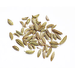 Fennel Seed, Whole