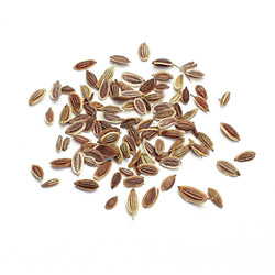 Dill Seed