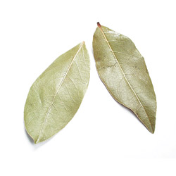 Bay Leaves, Whole Turkish