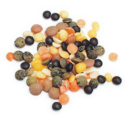Dried Beans, Autumn Lentil Blend