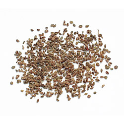Celery Seed, Whole