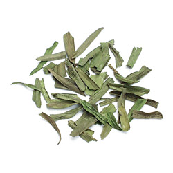 Tarragon Leaf