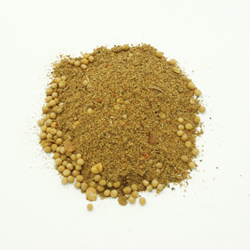 Jamaican Jerk Seasoning