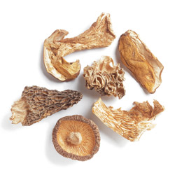 Special Mushroom Blend